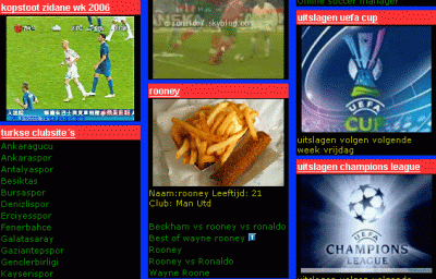 wenig später sieht Rooney aus wie frieten-met-samuraisaus-en-vleeskroket Screenshot einer der klauenden Webseiten nach dem Austausch der Bilddatei