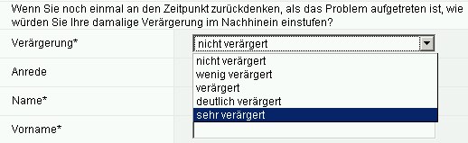 Wie würden Sie Ihre damalige Verärgerung im Nachhinein einstufen? Screenshot: Auswahl des Veraergerungsgrades
